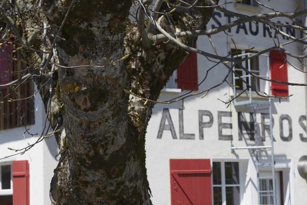 Alpenrose Gadmen - Gasthaus Buitenkant foto
